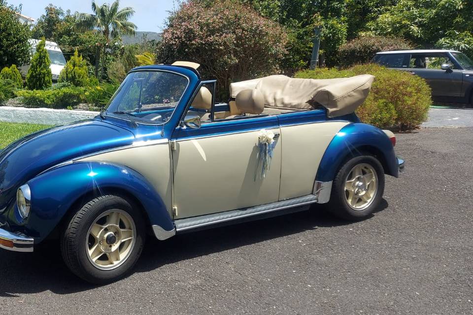 Guillermo - Volkswagen Beetle Cabrio