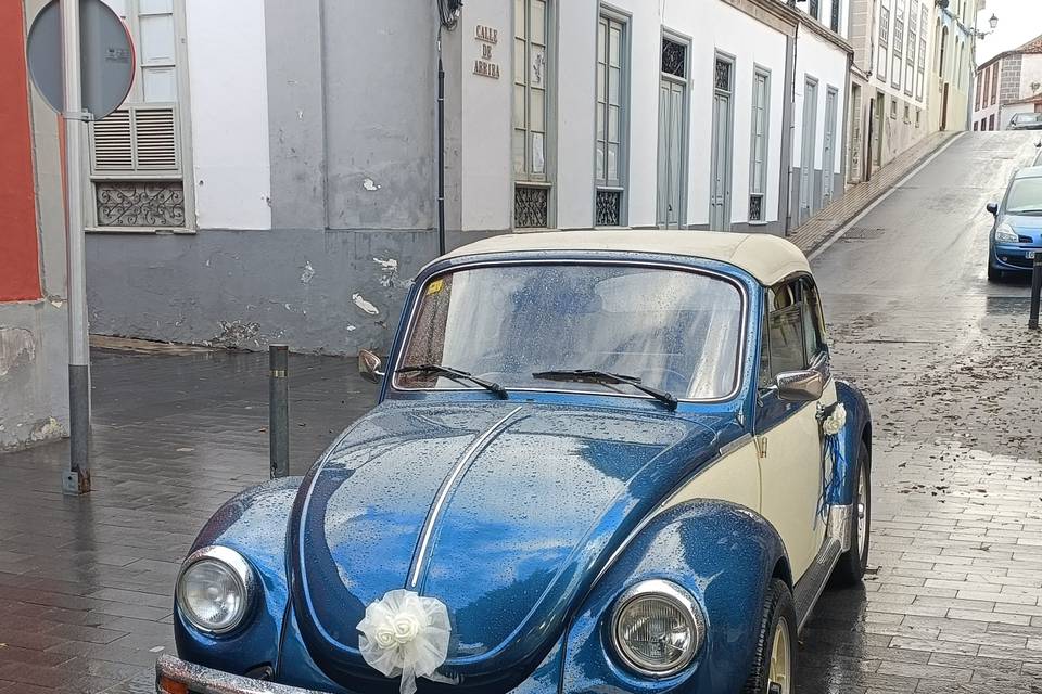 Guillermo - Volkswagen Beetle Cabrio
