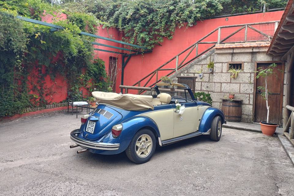 Guillermo - Volkswagen Beetle Cabrio