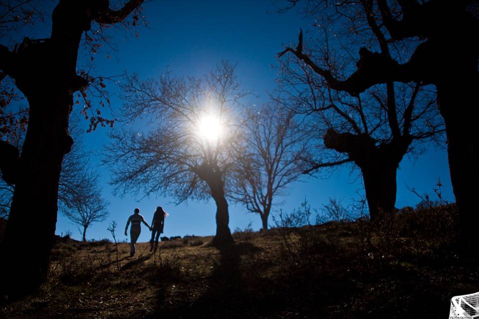 Sombras en la noche