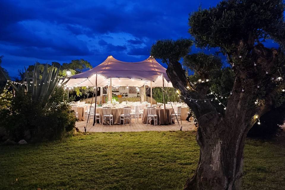 Carpa Evento