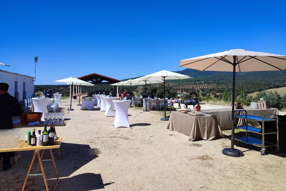 Catering evento