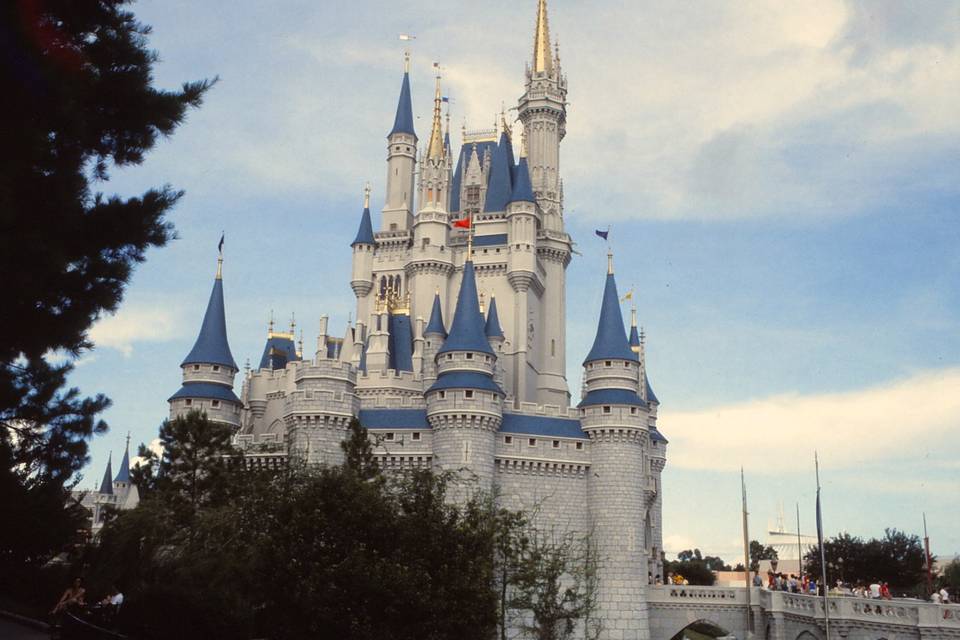 Walt Disney World