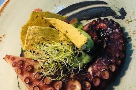 Pulpo asado con guacamole