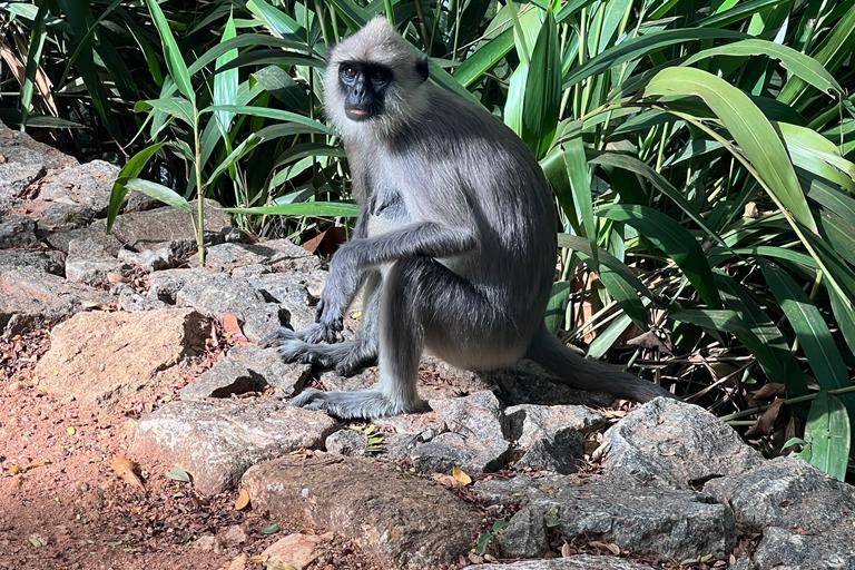 Sri Lanka