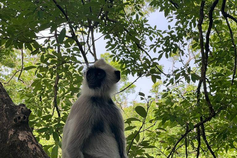 Sri Lanka