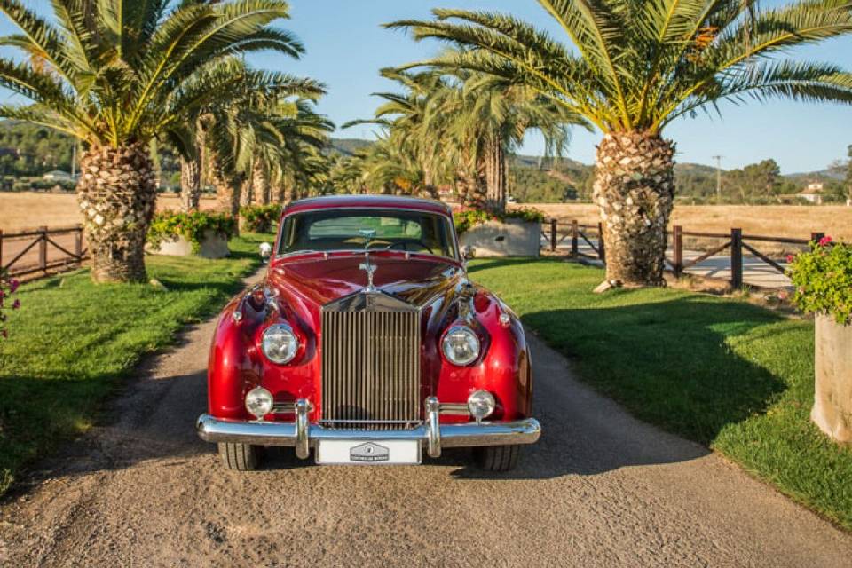 Coches de Bodas