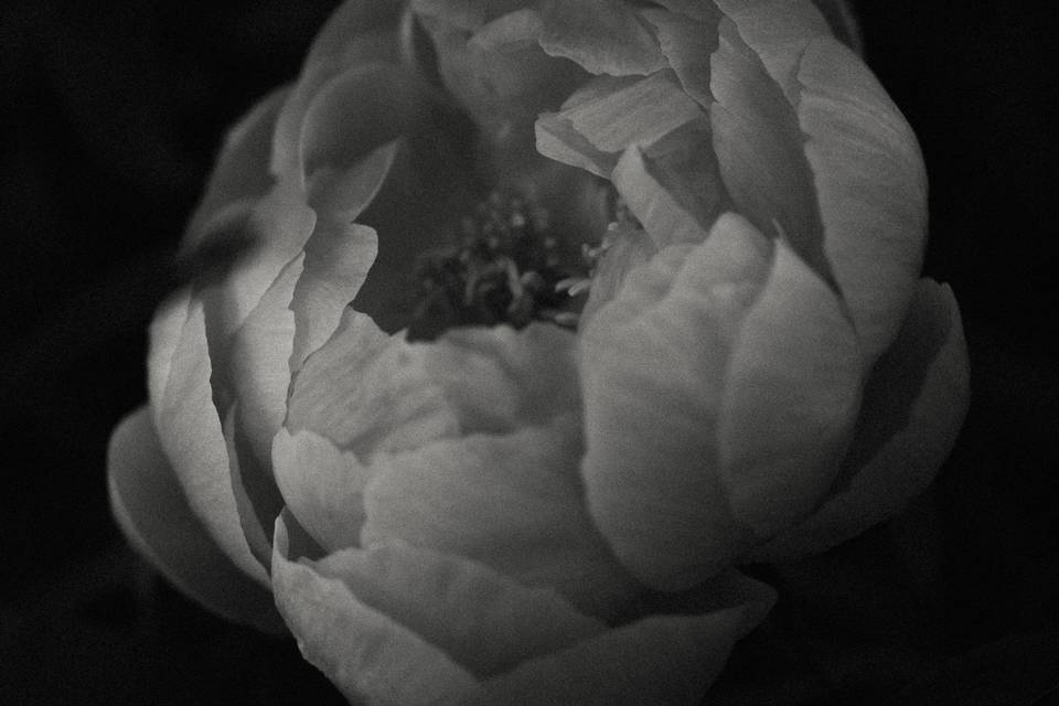 Detalles