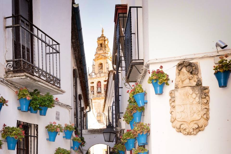 Calleja de Las Flores