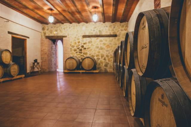 Sala de barricas bodega