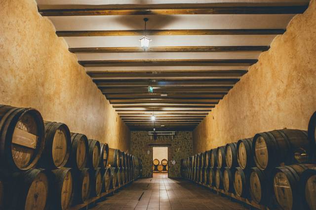 Sala de barricas bodega