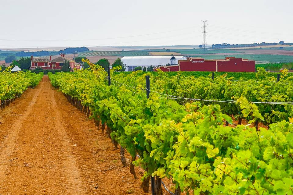 Entorno de la bodega