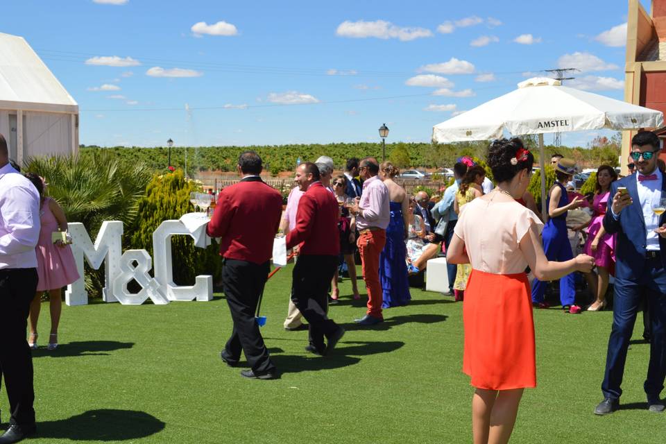 Cóctel en el jardin