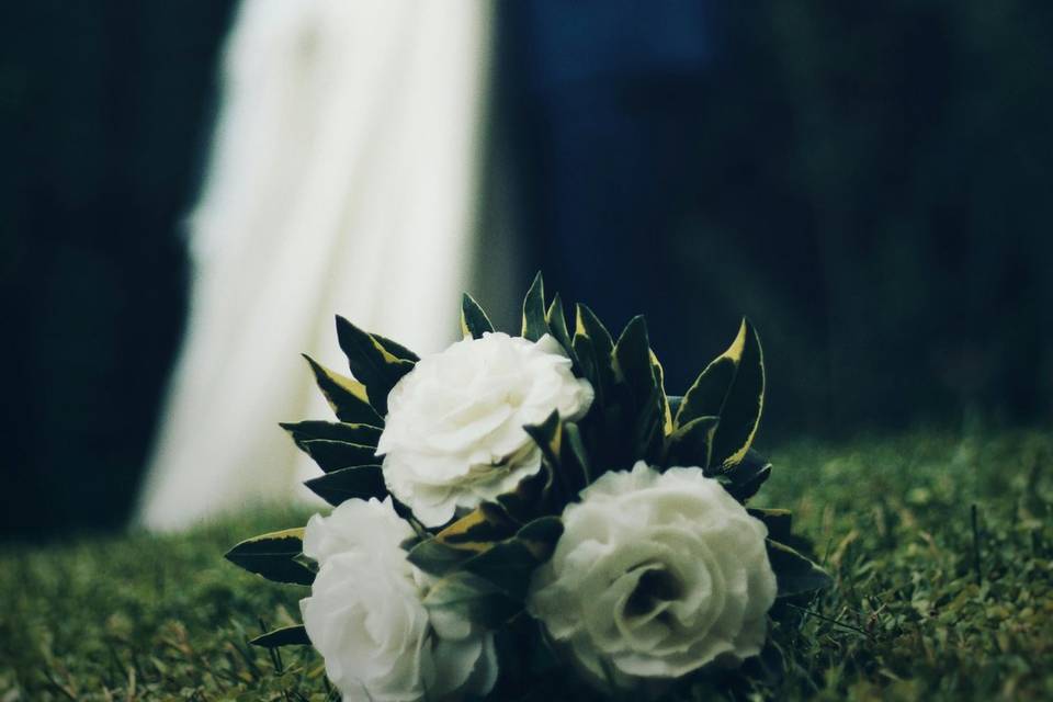 Novios fondo