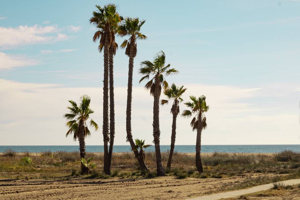 Playa de Comarruga