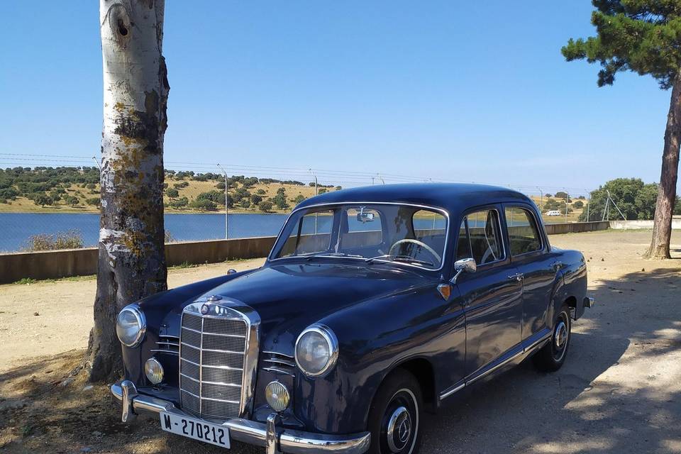 MB Classique