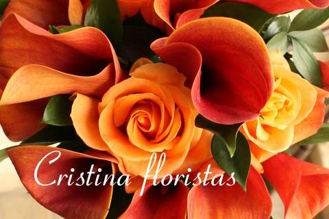 Cristina floristas