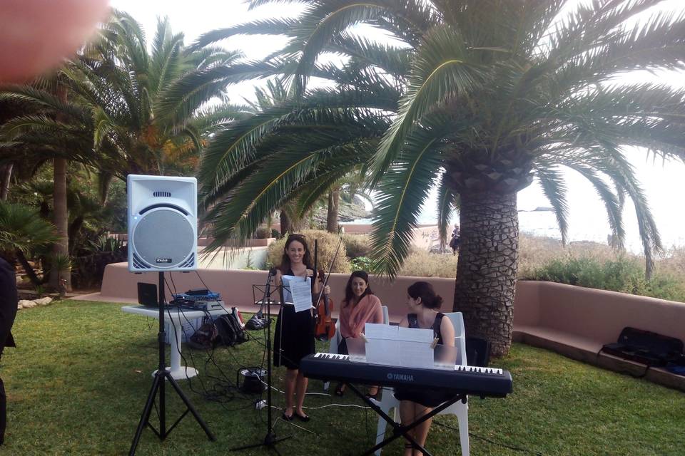 DJ para bodas