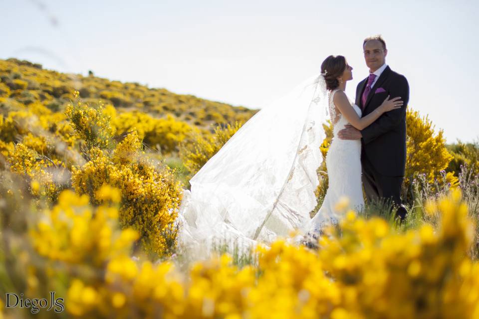 Postboda de Roberto y Arancha