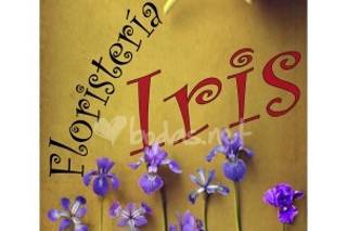 Floristería Iris