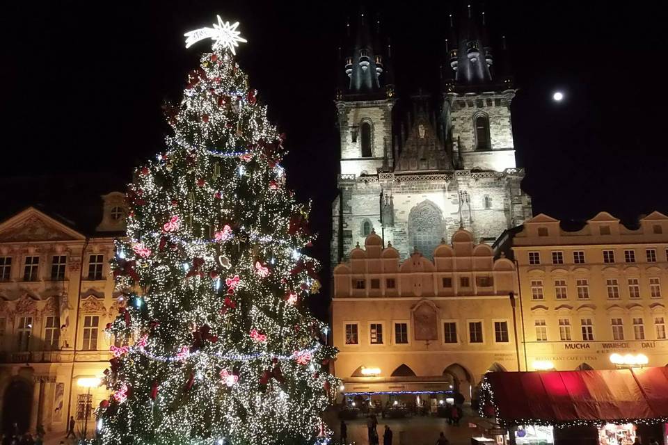 Navidad