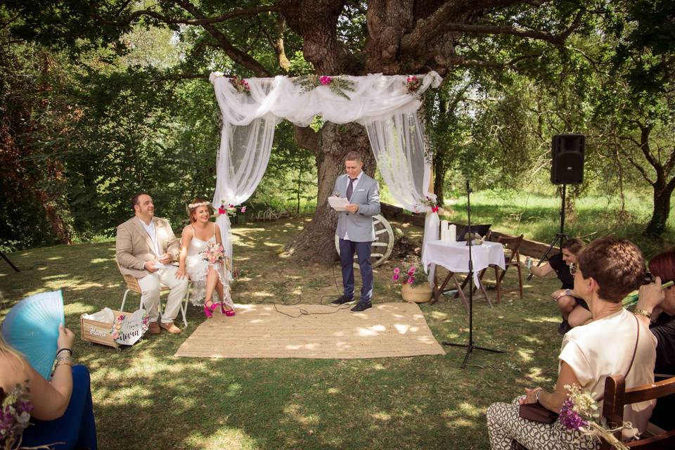 Animación boda