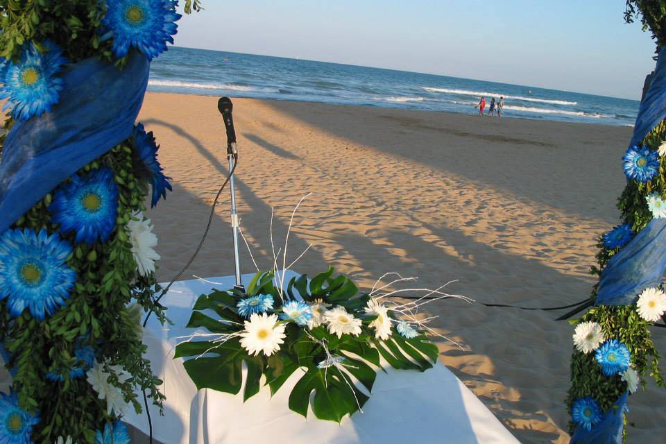 Expertos Bodas en la playa