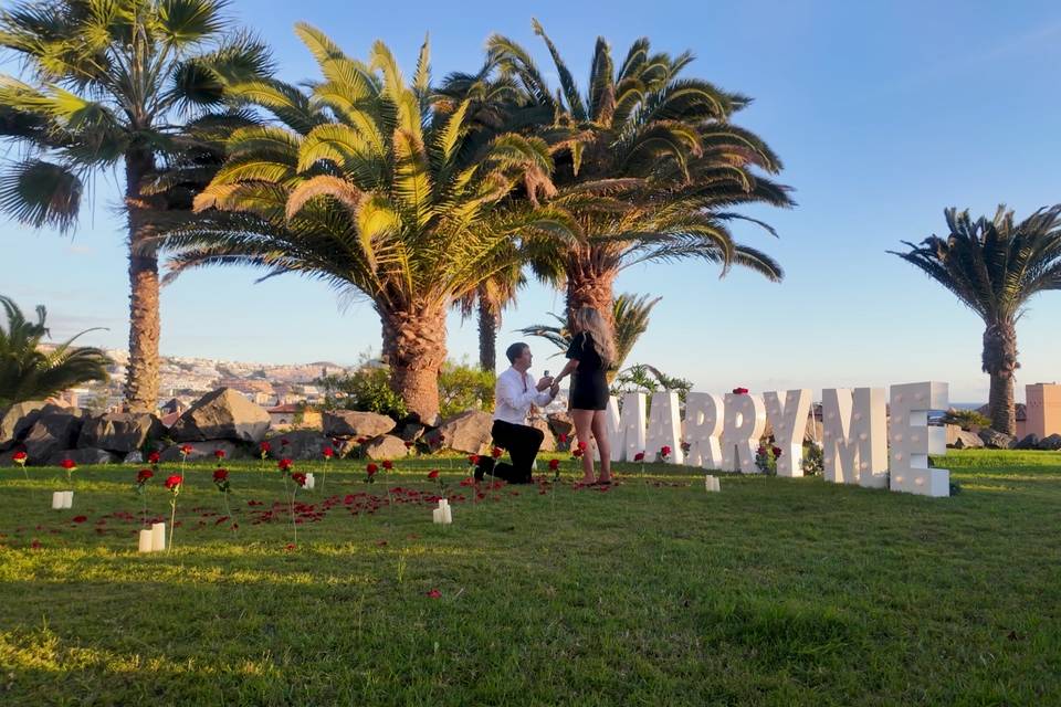 Proposal