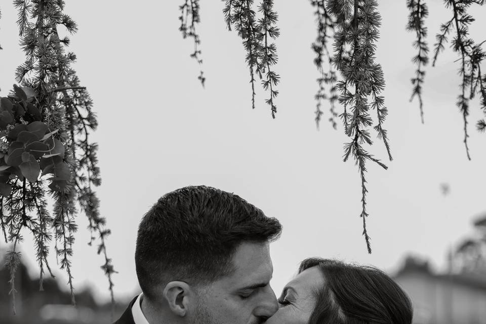 Novios