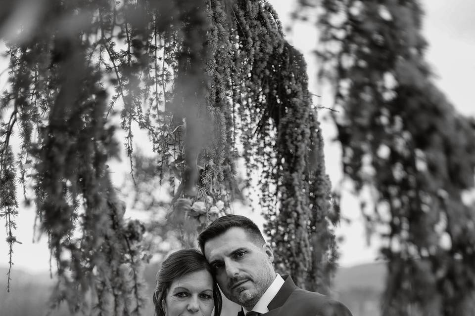 Novios