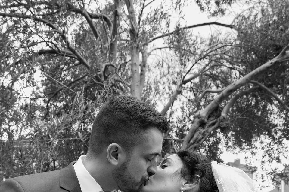 Novios