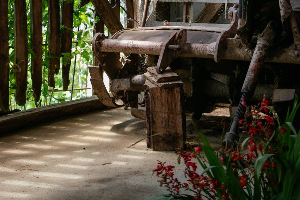 El Lugar