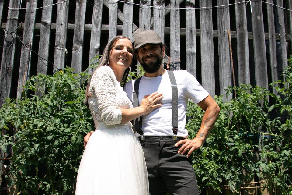 Novios