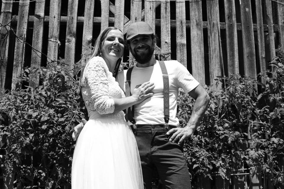 Novios