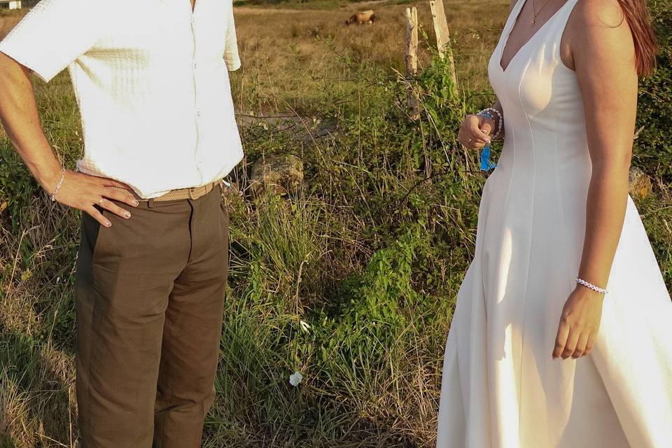 Novios