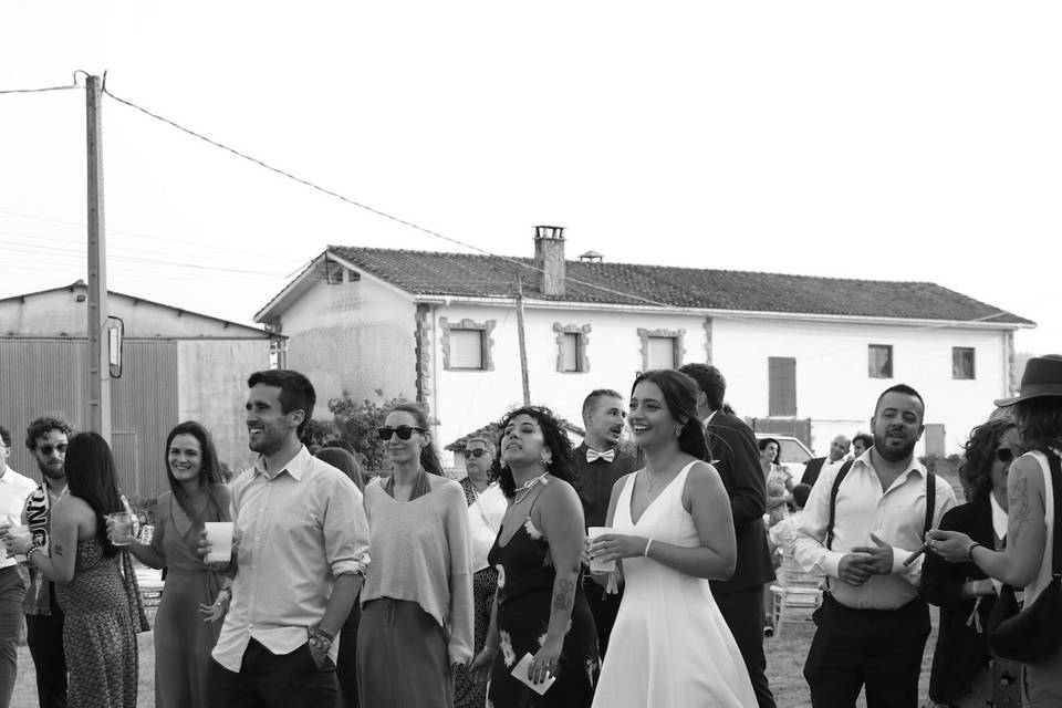 Fiesta