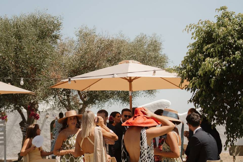 Aperitivos las salinas