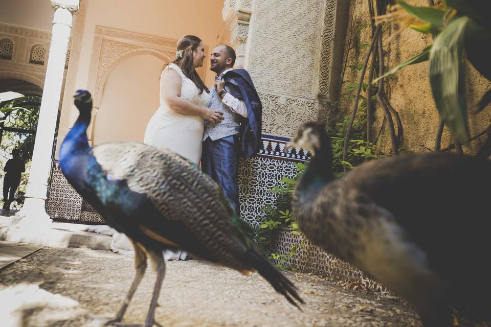 M&A Postboda en Granada