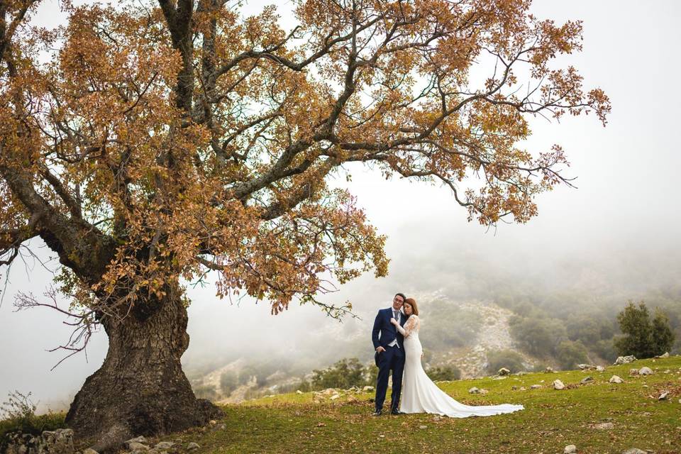 Postboda en Jaén