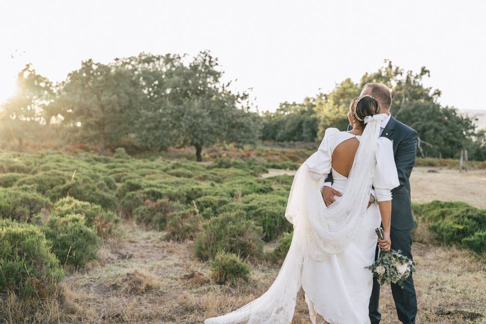 Sesión de recién casados