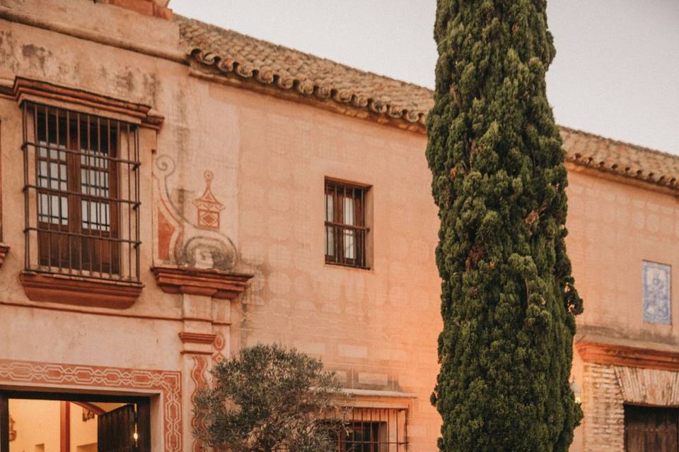 Clavela Events