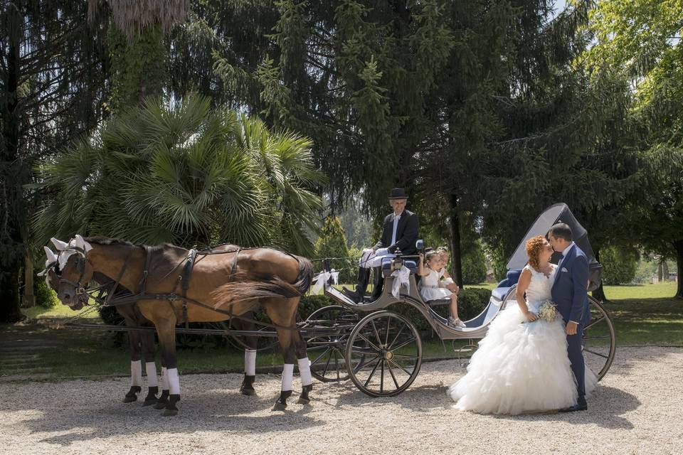 Boda elegante