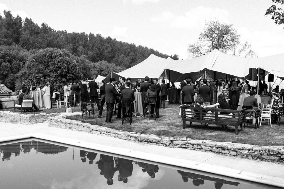 Boda carpa