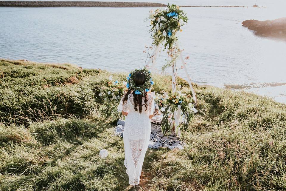 Ni hablar de flores