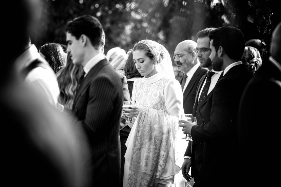 Novios