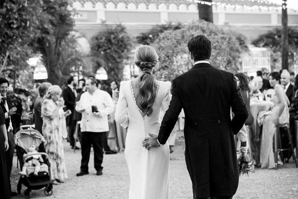 Novios