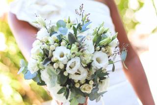 Sabanah deco&natur