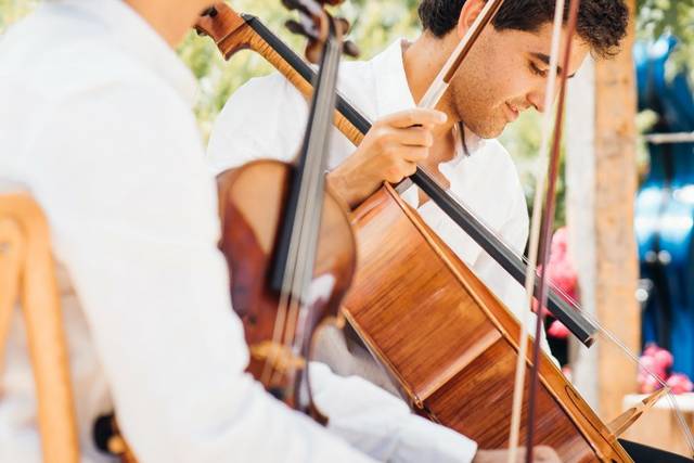 Músicos profesionales