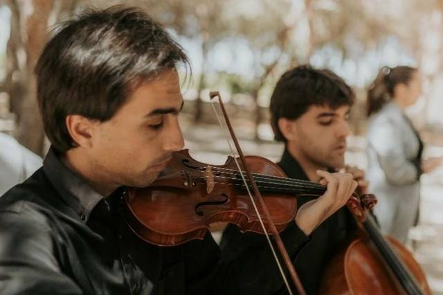 Cóctel musical