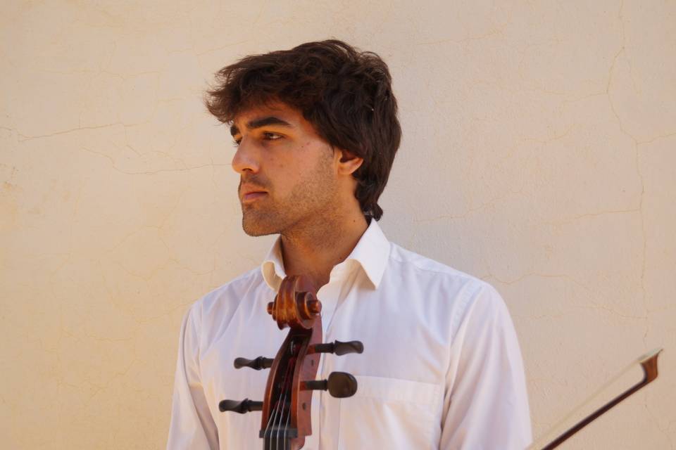 Violonchelo